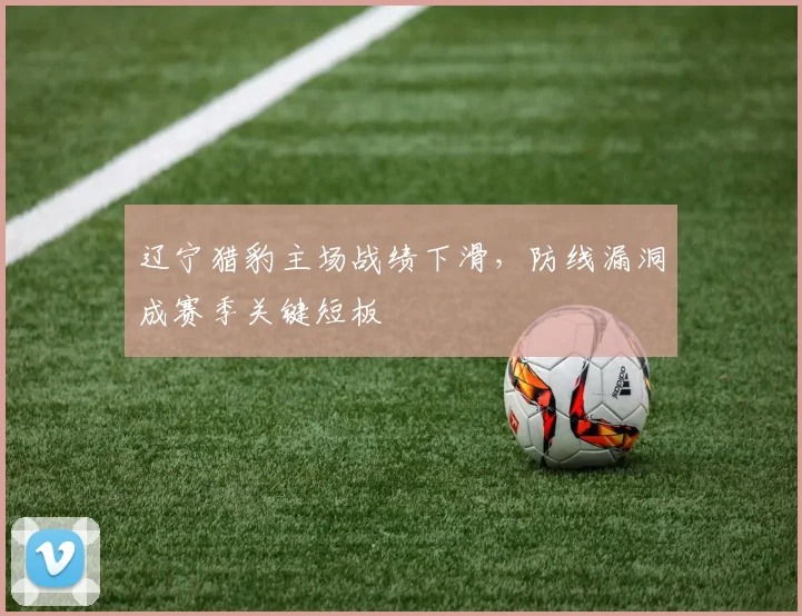 辽宁猎豹主场战绩下滑，防线漏洞成赛季关键短板