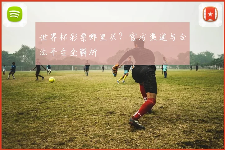 世界杯彩票哪里买？官方渠道与合法平台全解析