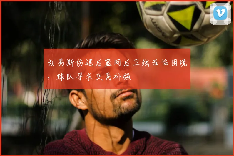 刘易斯伤退后篮网后卫线面临困境,球队寻求交易补强