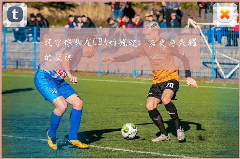 辽宁球队在CBA的崛起：历史与荣耀的交织