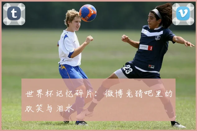 世界杯记忆碎片：微博竞猜吧里的欢笑与泪水