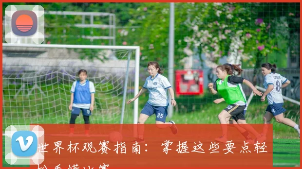 世界杯观赛指南：掌握这些要点轻松看懂比赛