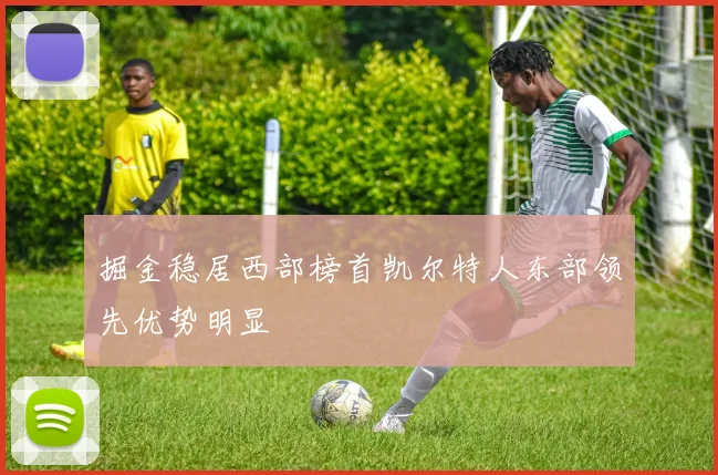 掘金稳居西部榜首凯尔特人东部领先优势明显
