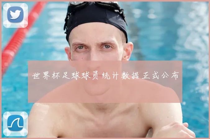 世界杯足球球员统计数据正式公布
