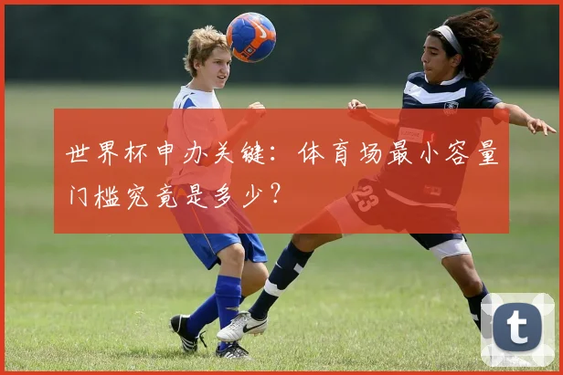 世界杯申办关键:体育场最小容量门槛究竟是多少?