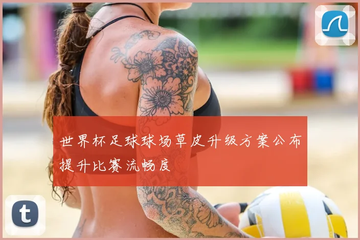 世界杯足球球场草皮升级方案公布提升比赛流畅度