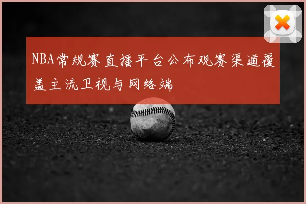 NBA常规赛直播平台公布观赛渠道覆盖主流卫视与网络端